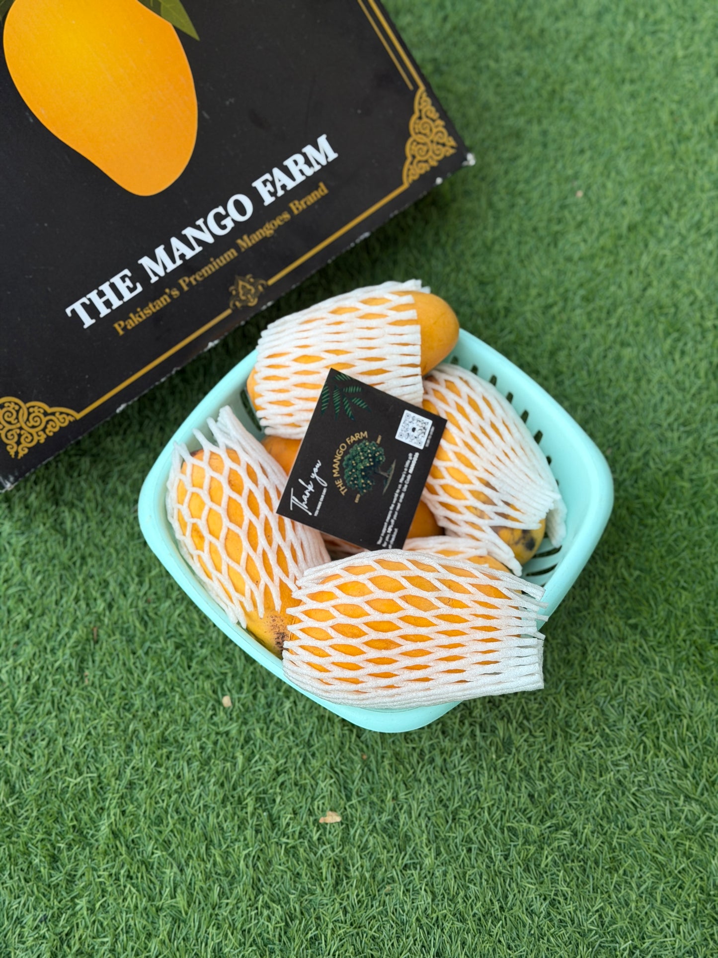 Sindhri Export Quality