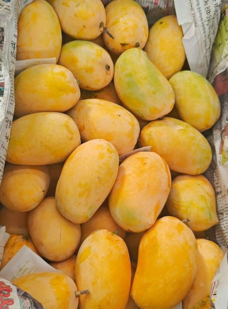 Late Chounsa ( 1 Aug )